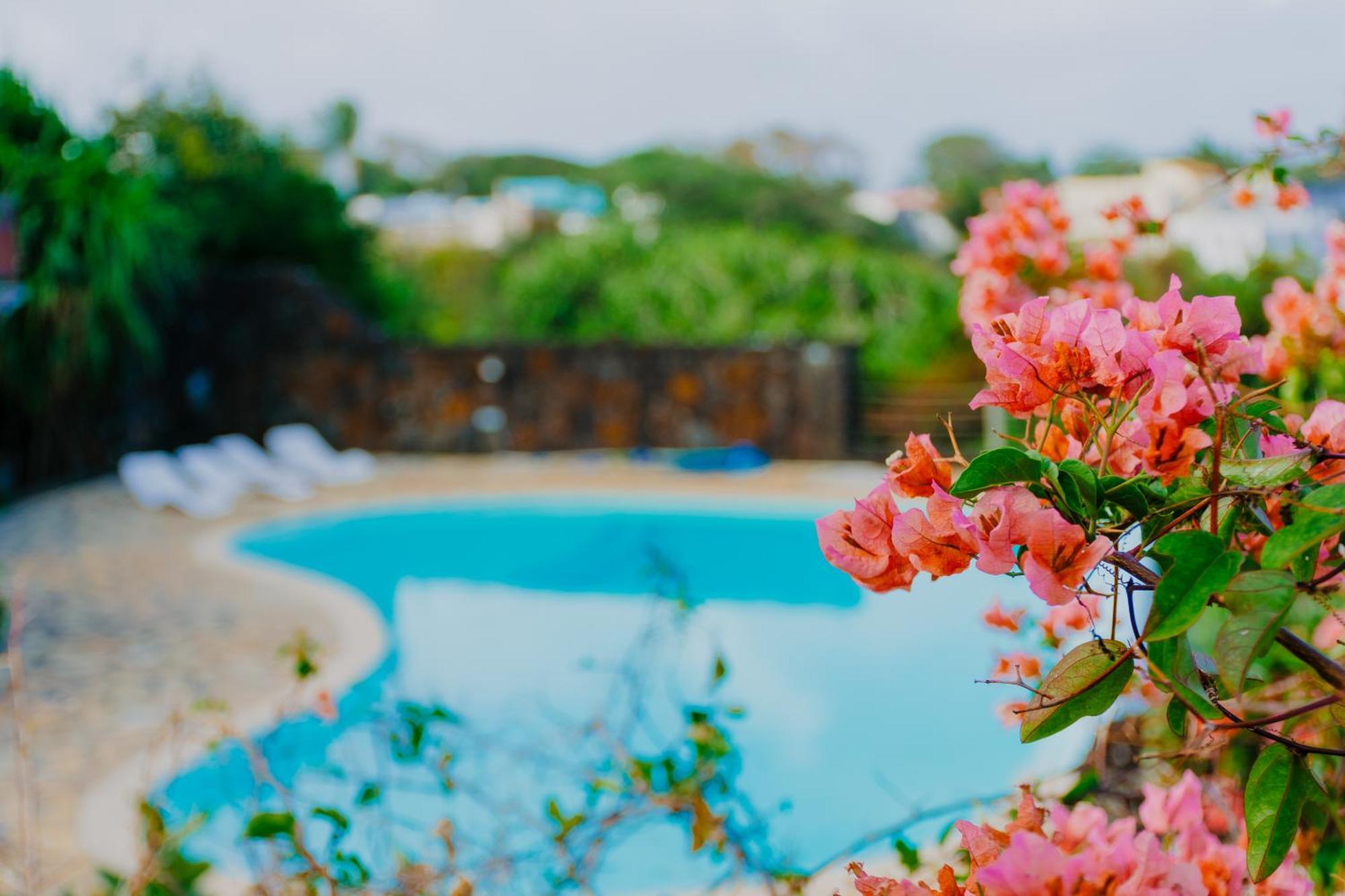 Boutique Villa On The Rocks With Stunning Sea Views, Infinity Pool & Private Sea Тру д'О Дус Экстерьер фото
